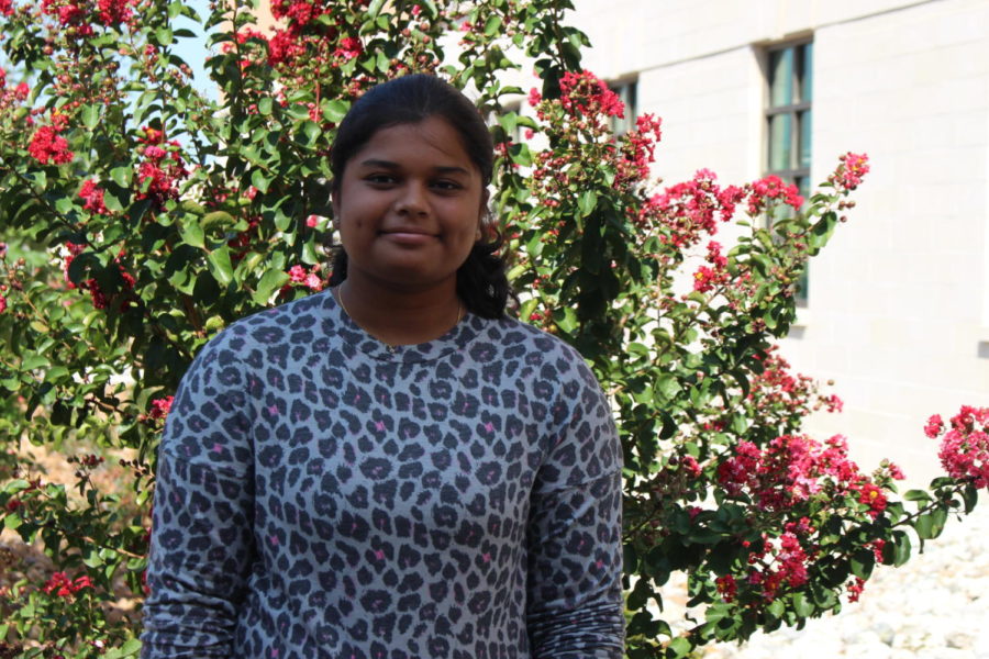 Jaya v Rajamanickam