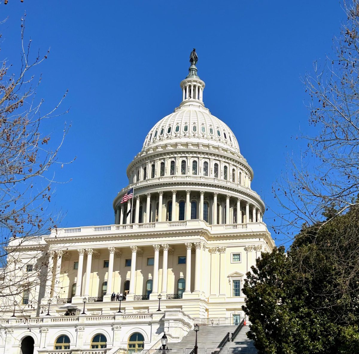 The Front of the Capitol Building in Washington D.C. 